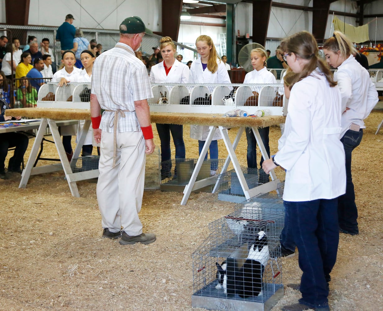 PHOTOS: What we saw at the 2019 Greene County fair