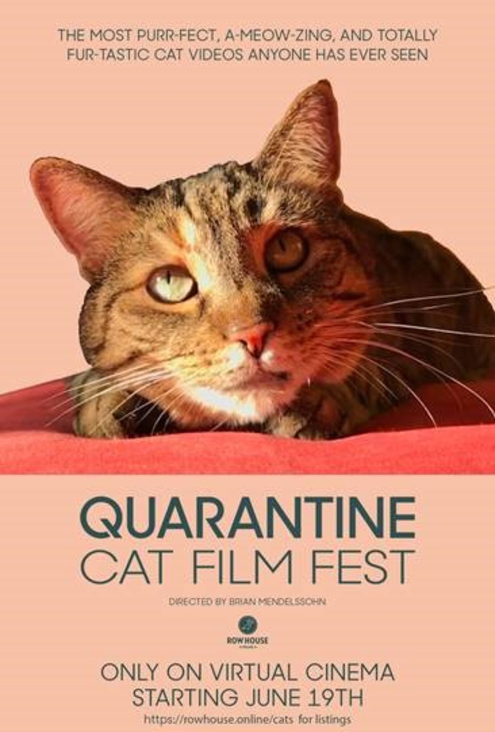 Pay homage to your favorite feline friends by heading online to watch the Quarantine Cat Film Festival, available on The Neon's website beginning on Friday, June 19.