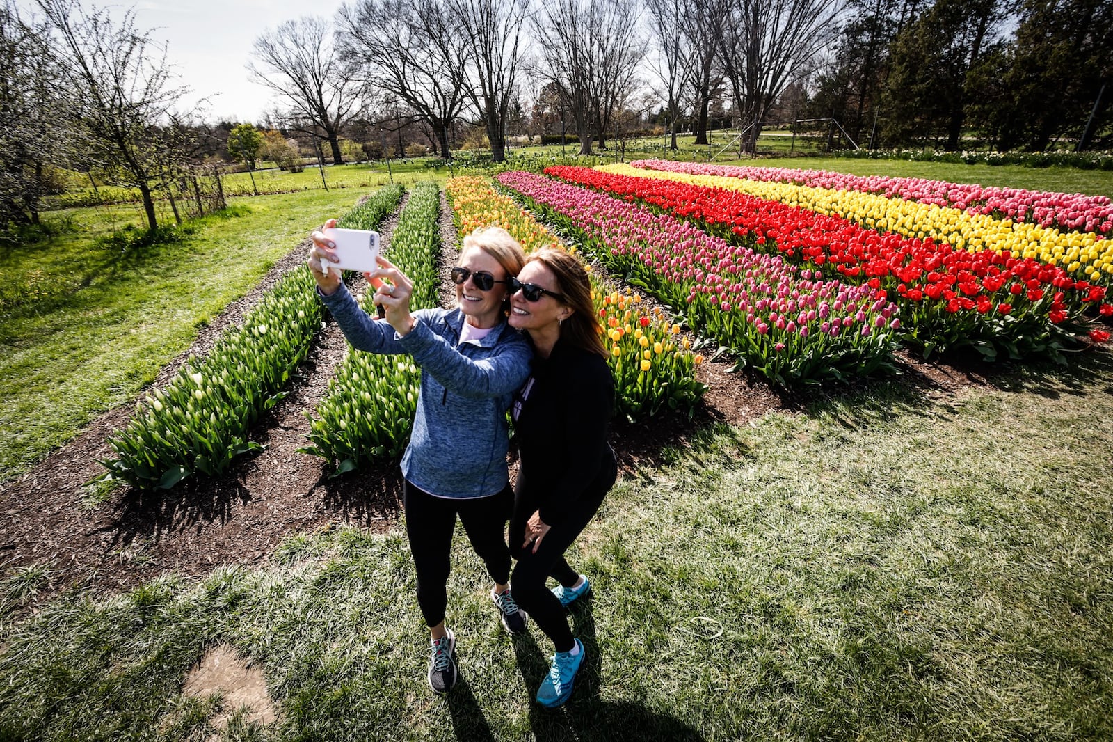 Peggy Thompson, left and Laurie Layman take a selfie near the tulip garden at Cox Arboretum Metropark. JIM NOELKER/STAFF