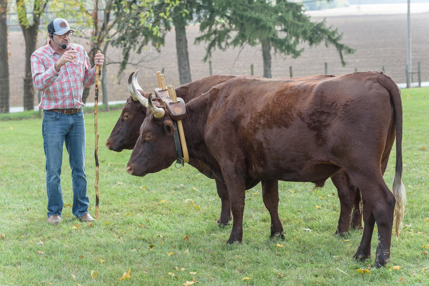 PHOTOS: 2024 Fall Farm Fest at Lost Creek Reserve in Troy