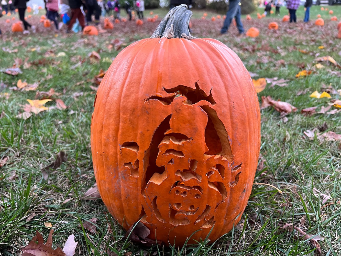 PHOTOS: The Stoddard Avenue Pumpkin Glow Night 1