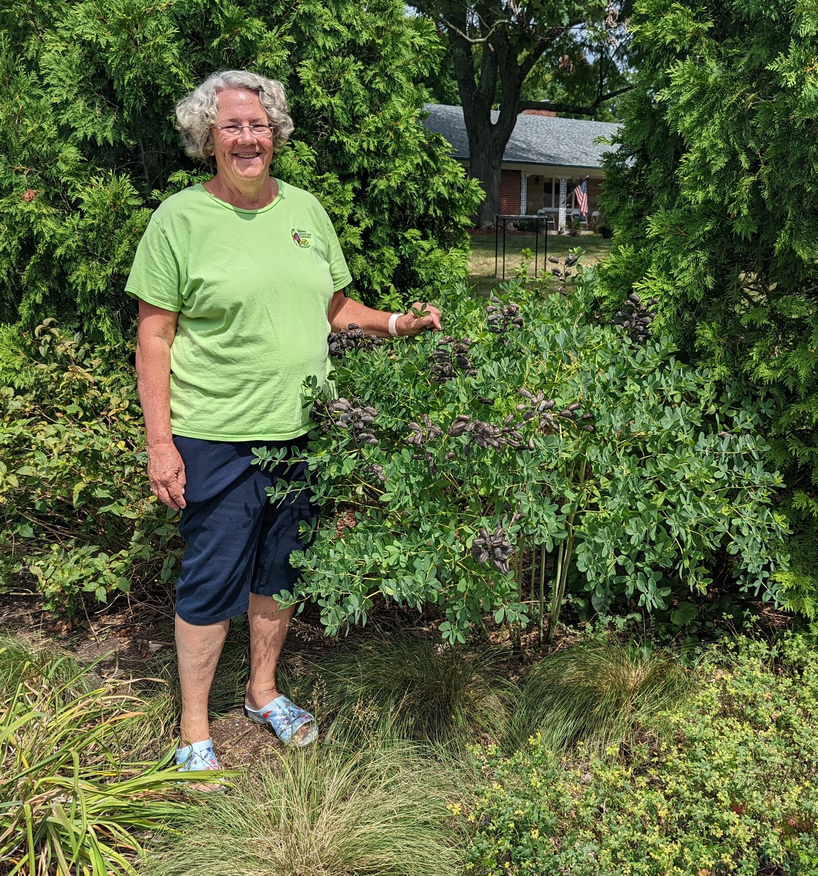 Maura Boesch of Kettering poses with a native blue false indigo plant, which is a host for several butterfly species. Contributed photo