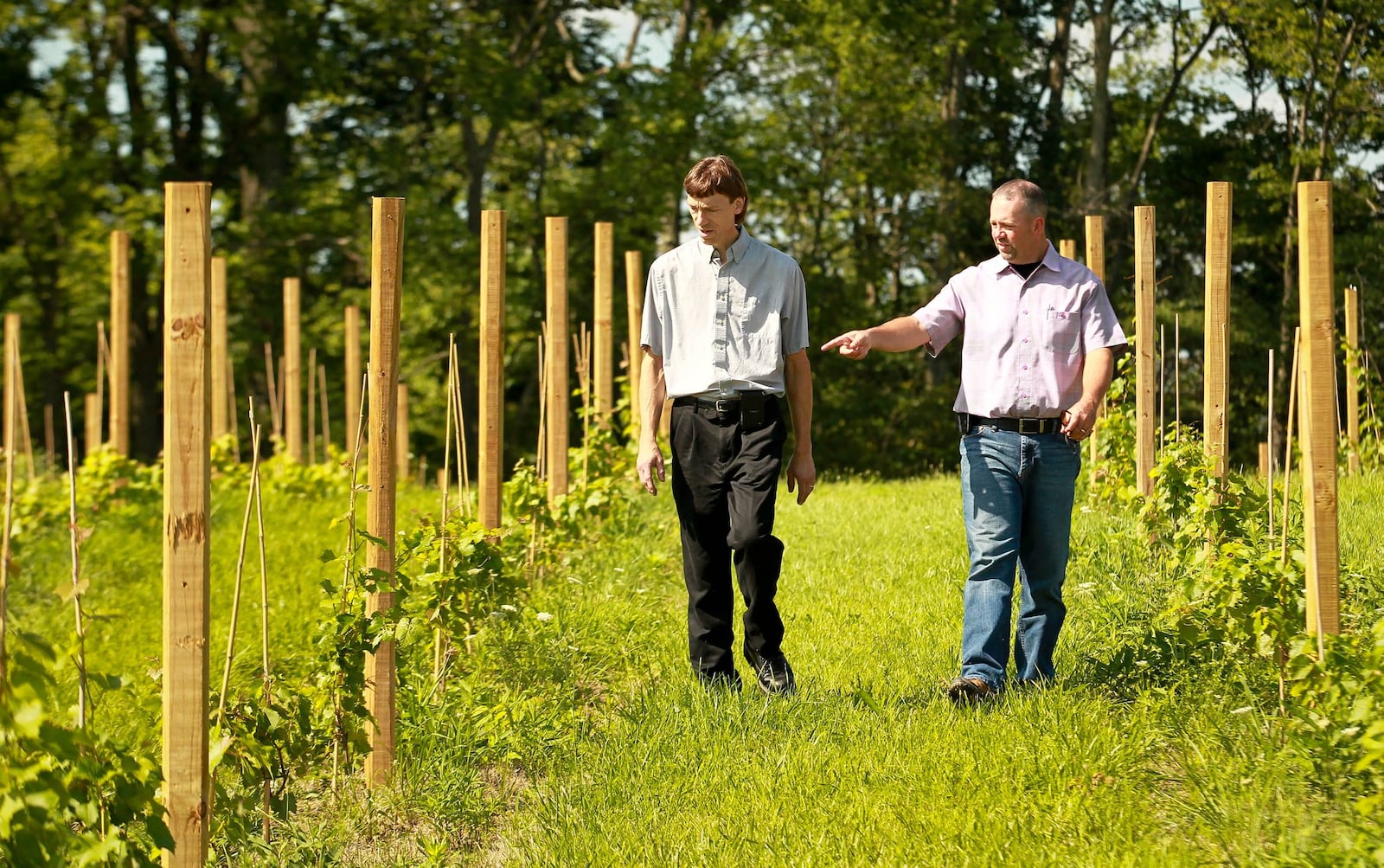 Co-owners Mark Zdobinski left, and Jim Meeks have purchased a one-room schoolhouse that dates back to 1890, planted 1,000 grapevines in the farm fields behind it, and will open the Olde Schoolhouse Vineyard & Winery this spring in Eldorado. JIM WITMER/STAFF