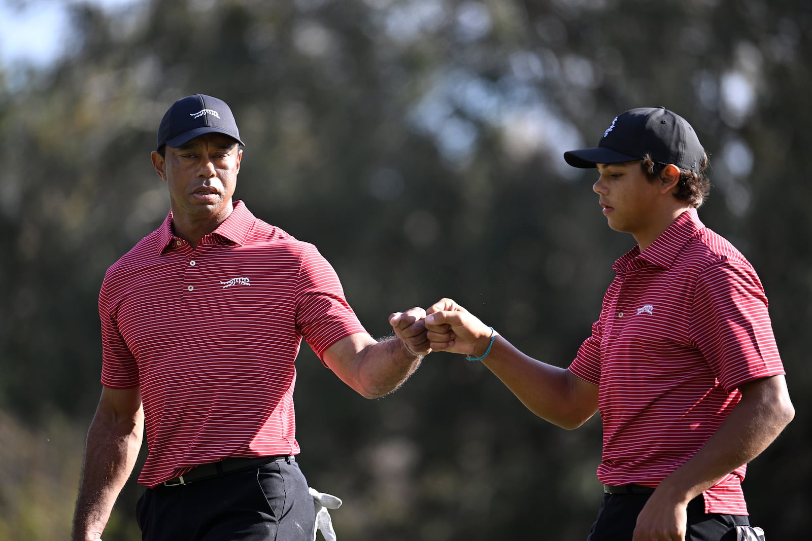 Tiger Woods, left, and his son Charlie Woods fist bump after making their putt on the 13th green during the final round of the PNC Championship golf tournament, Sunday, Dec. 22, 2024, in Orlando, Fla. (AP Photo/Phelan M. Ebenhack)