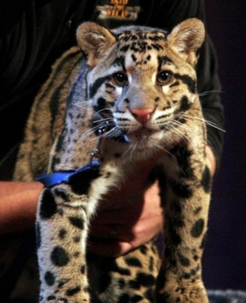 Jack Hanna visits Cedarville