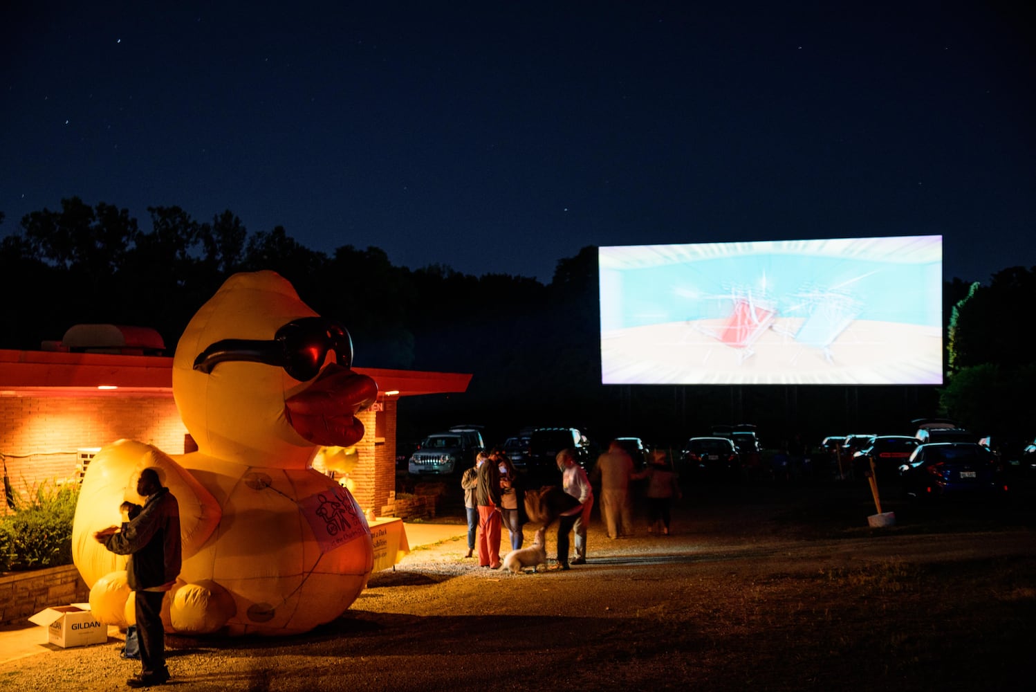 Virtual Rubber Duck Regatta