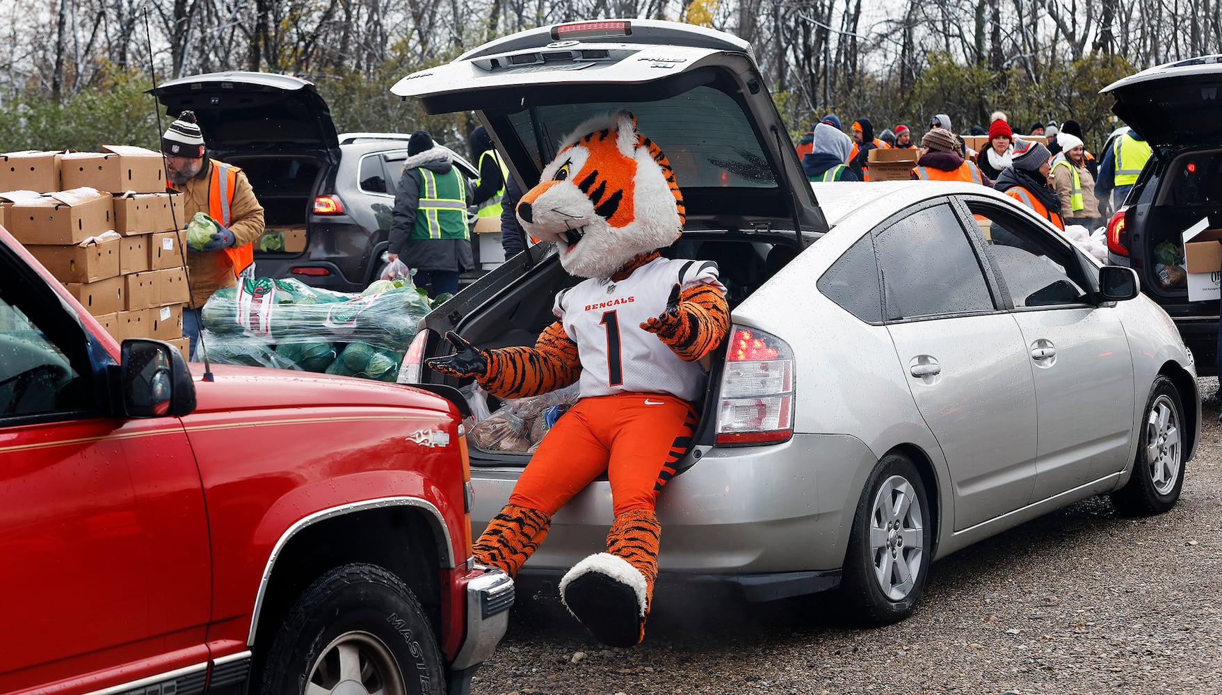 Food Bank Thanksgiving distribution