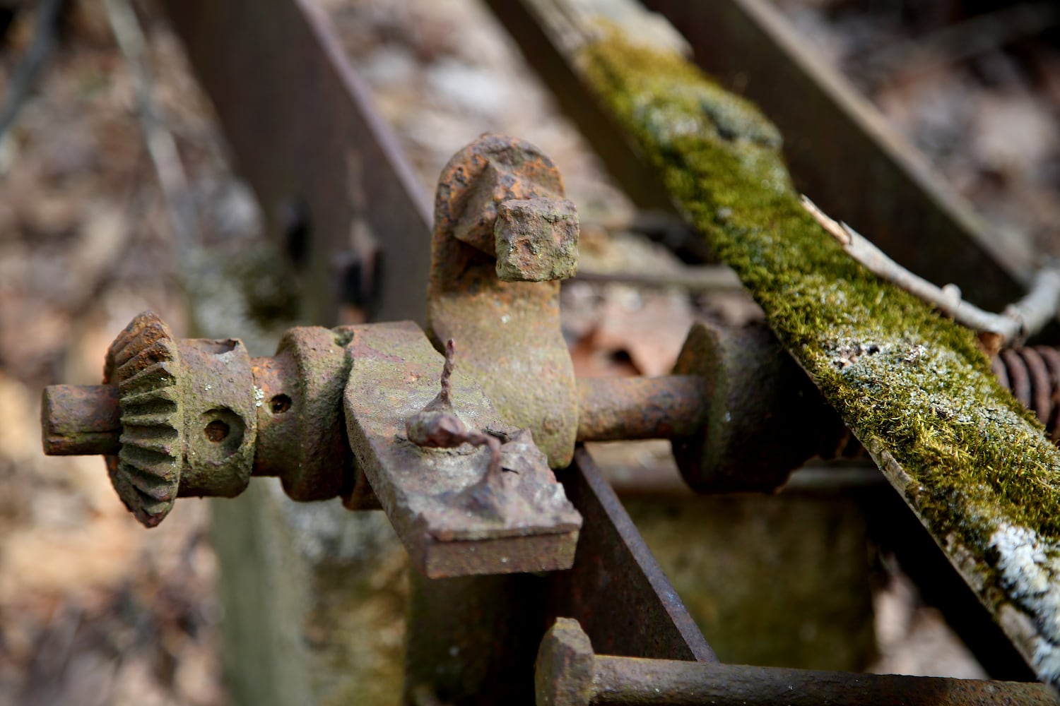 PHOTOS: Long-abandoned amusement park lives on in Possum Creek MetroPark