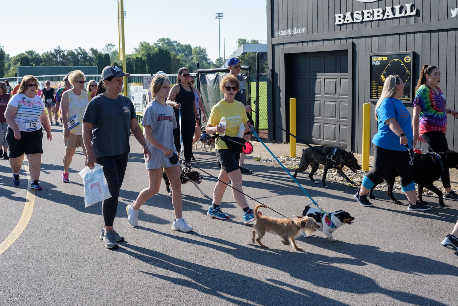 PHOTOS: Did we spot you and your doggie at SICSA’s Lift Your Leg fun run/walk?