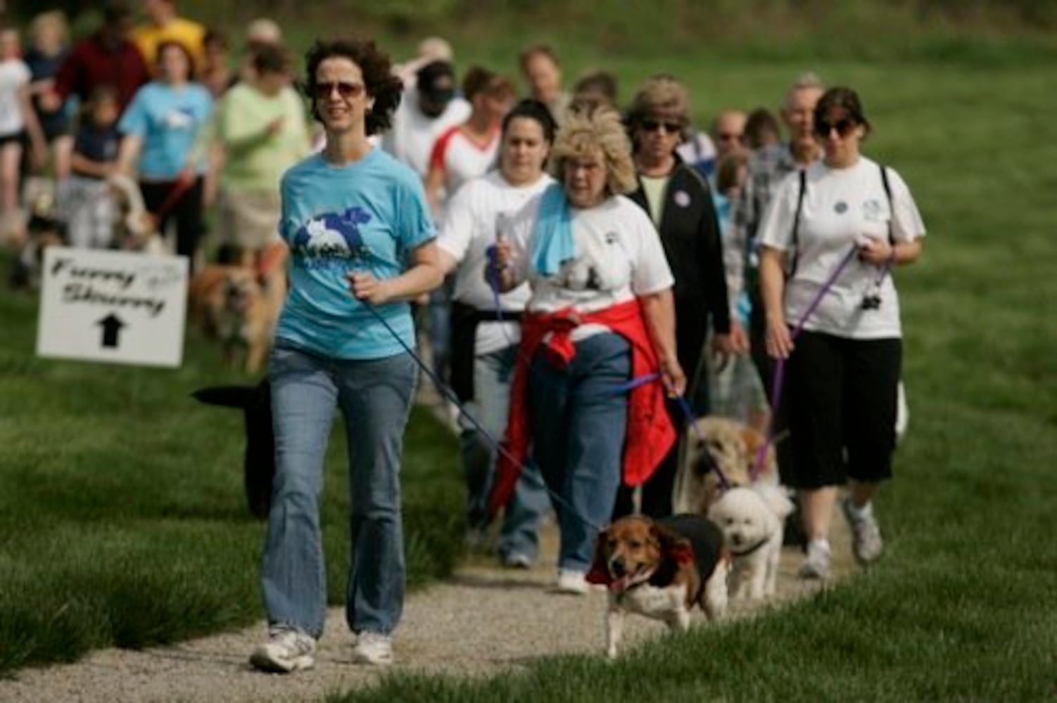 Furry Scurry walk