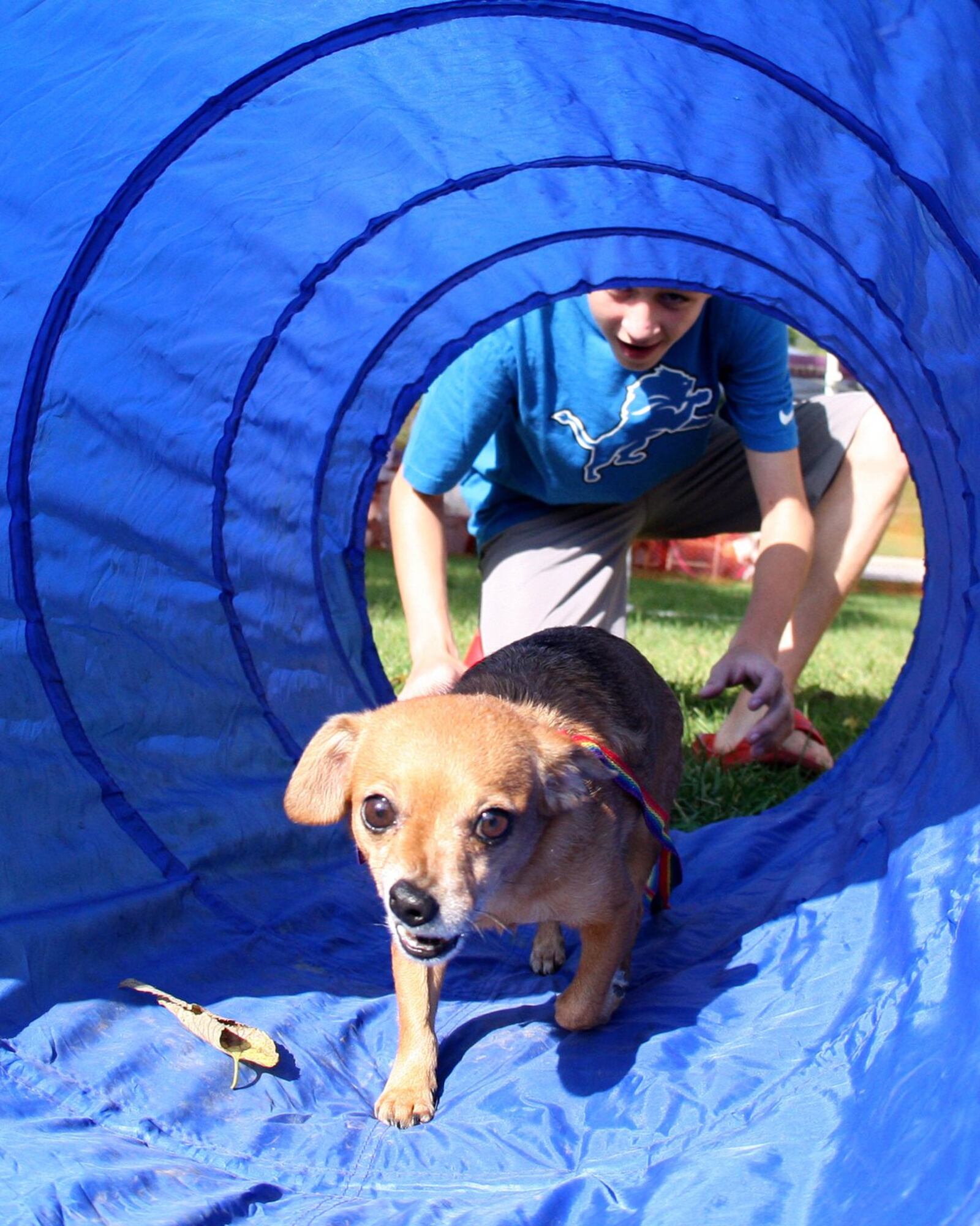 Miamisburg’s Bark in the Burg will be held June 29 at Community Park, which has a new dog park that will open a day earlier. CONTRIBUTED