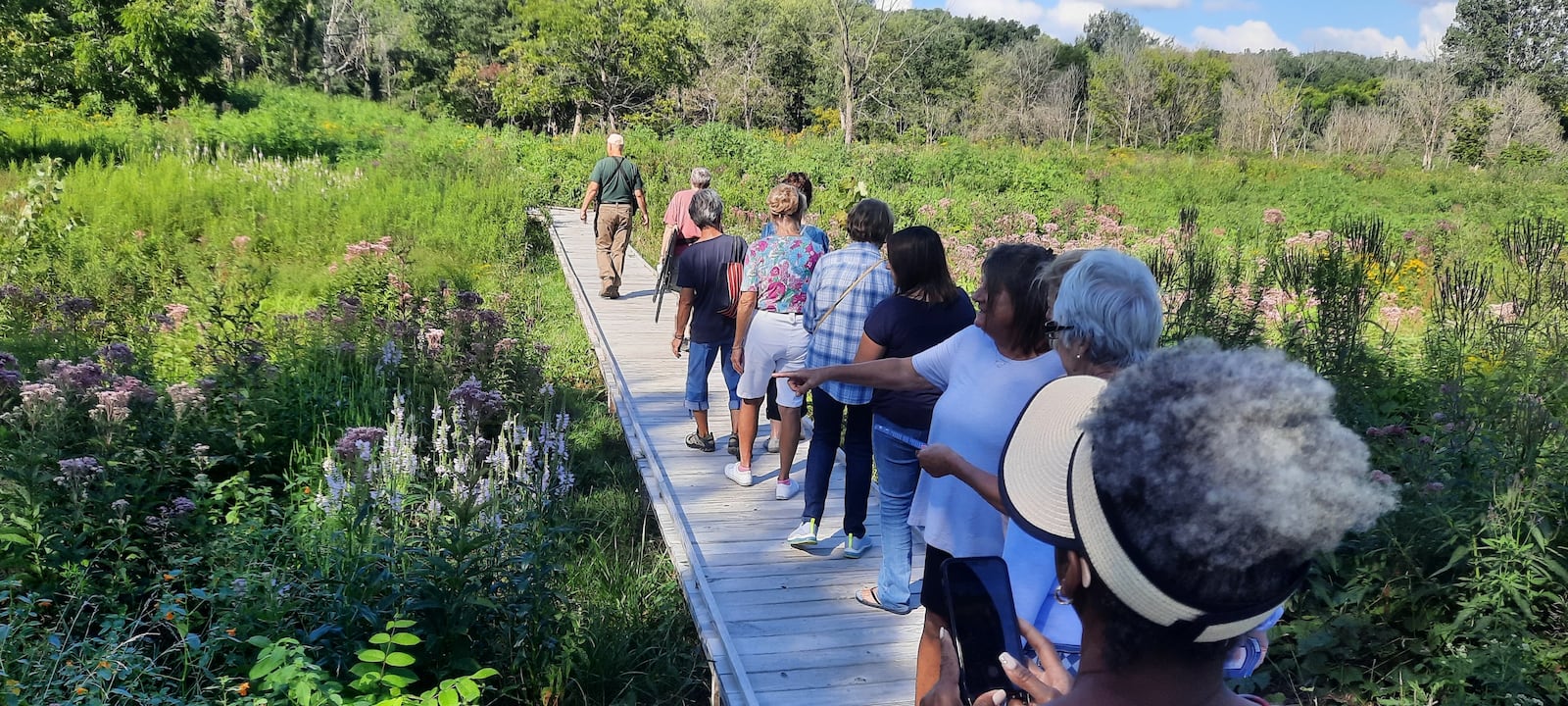 Pearl's Fen is one of the many parks and reserves along the Beaver Creek wetland corridor - CONTRIBUTED