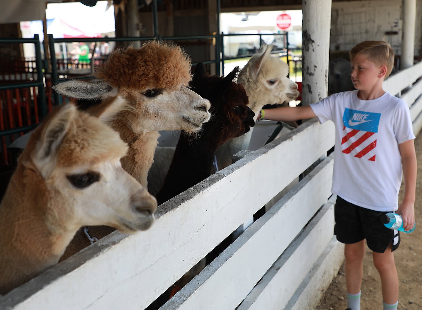 PHOTOS: 2019 Clark County Fair - Day 3