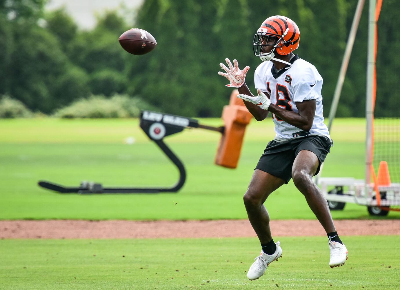 Cincinnati Bengals OTA