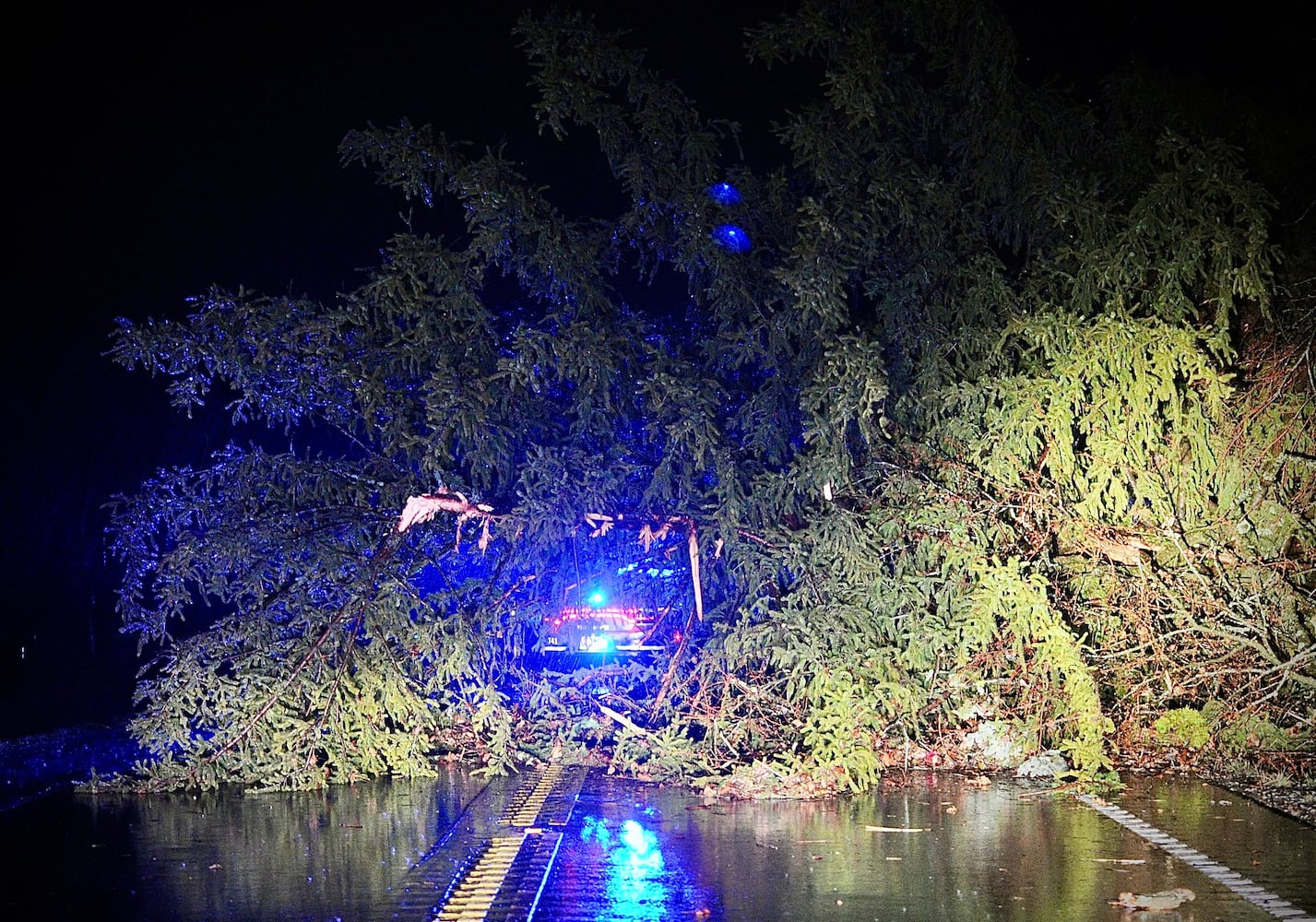 Tree falls on Jeep