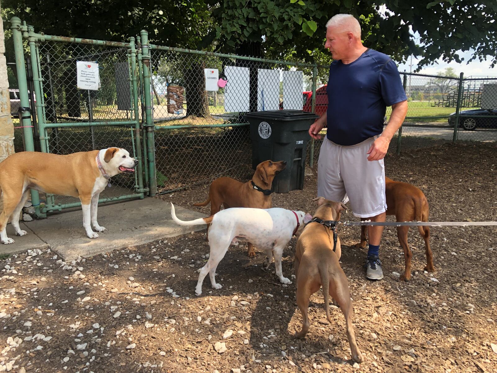 Butch Richardson hangs out with the pooches at Deeds Point Dog Park. CORNELIUS FROLIK / STAFF