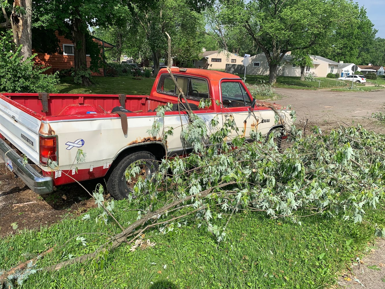 PHOTOS: Riverside storm damage