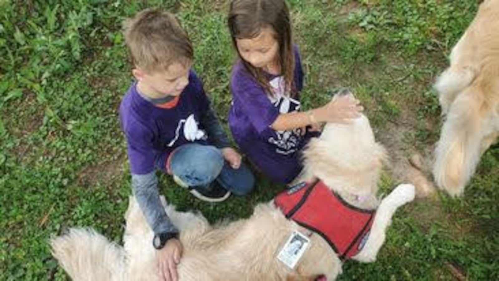 Good Works Farm in Waynesville serves those with developmental disabilities.