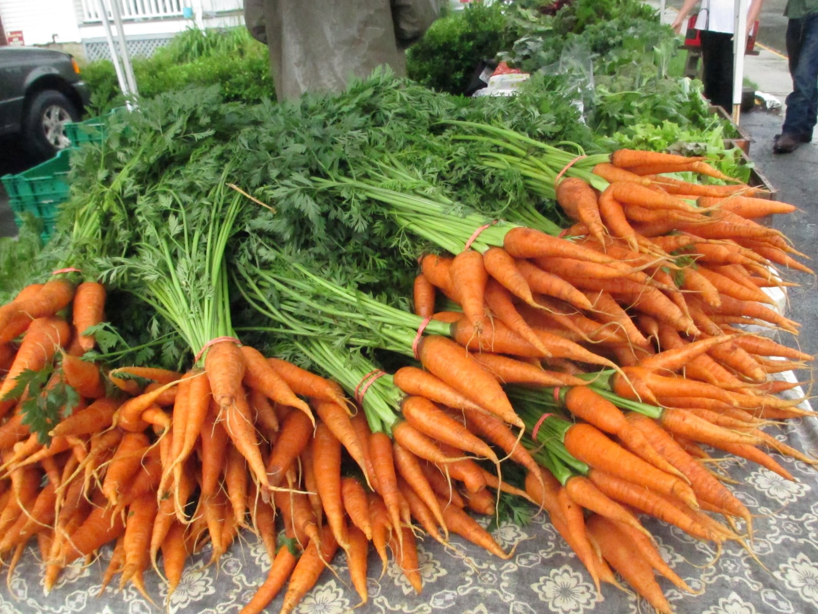 Patchwork Gardens, 9057 W. 3rd St., Dayton, has a growing community-supported agriculture program. CONTRIBUTED