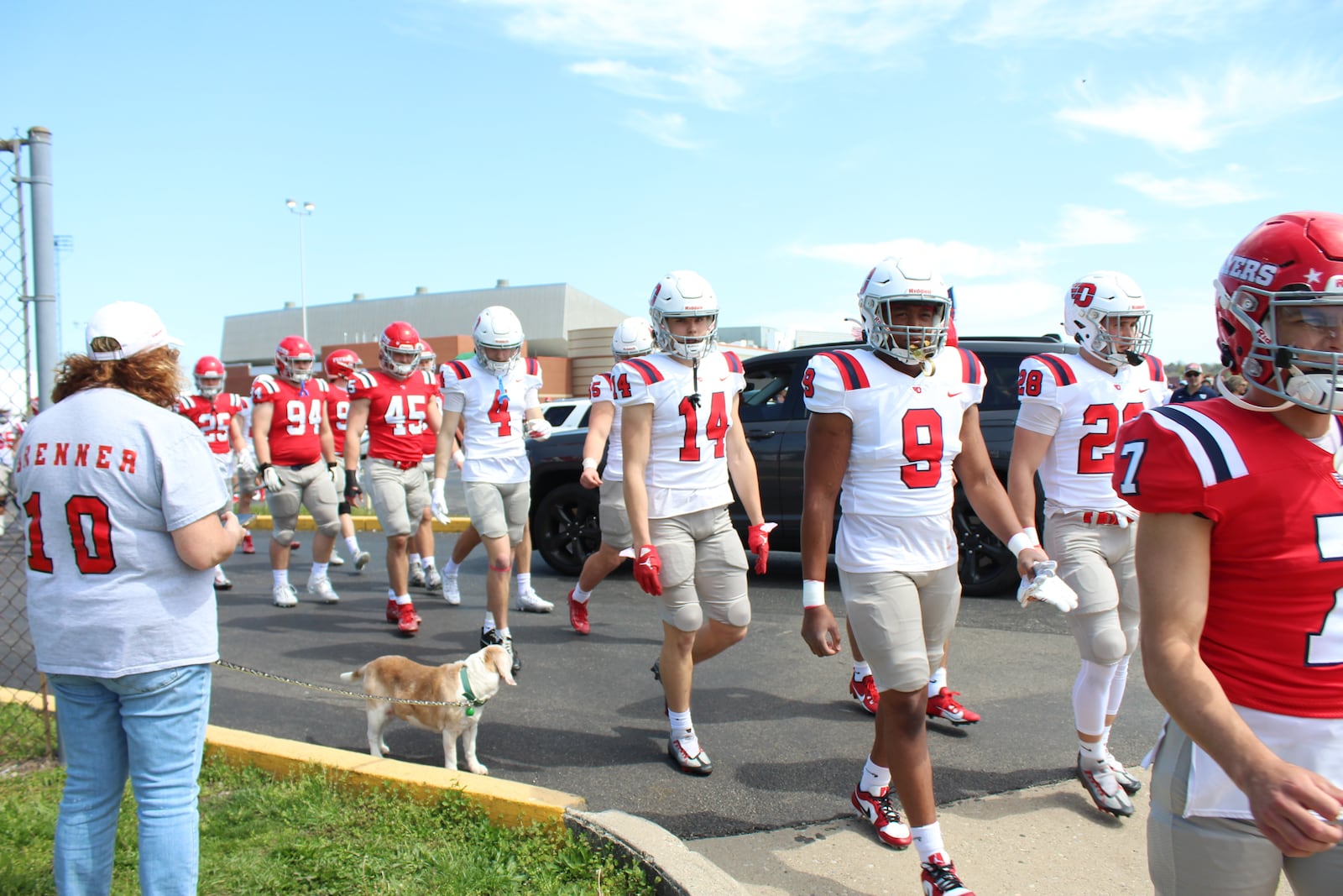 Luke Brenner's dog, Buddee, hanging out with the UD football team. CONTRIBUTED