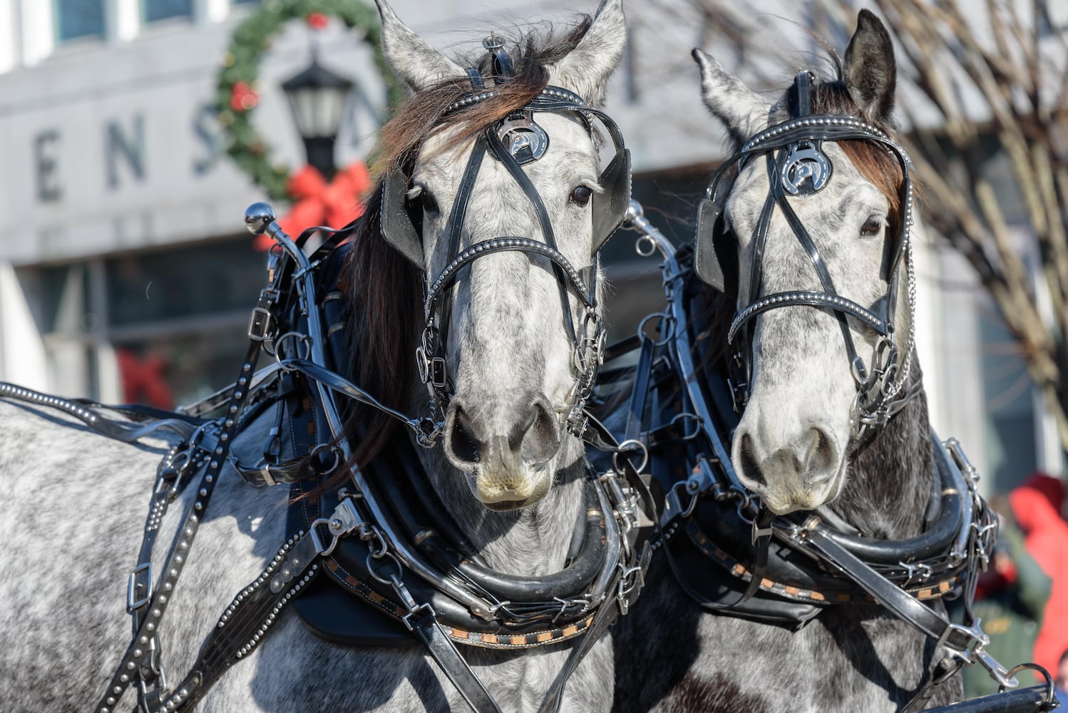 PHOTOS: 35th annual Lebanon Horse-Drawn Carriage Parade & Festival