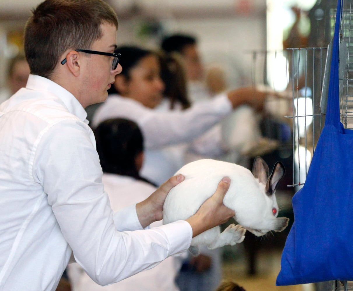 PHOTOS: What we saw at the 2019 Greene County fair