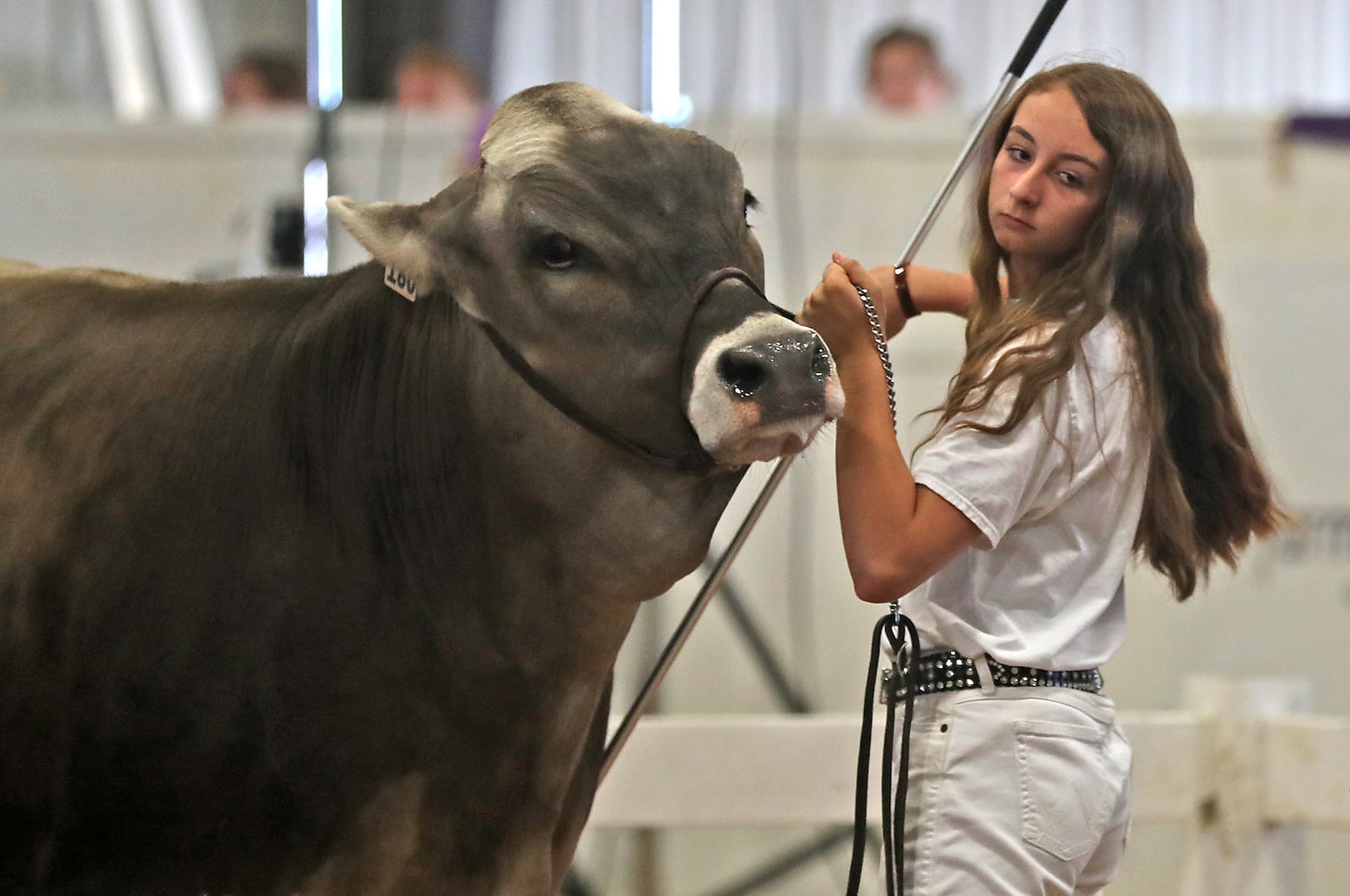 Lilly Powell auctions off her Grand Champion Dairy Steer Friday during the Jr. Fair Auction at the Clark County Fair. BILL LACKEY/STAFF