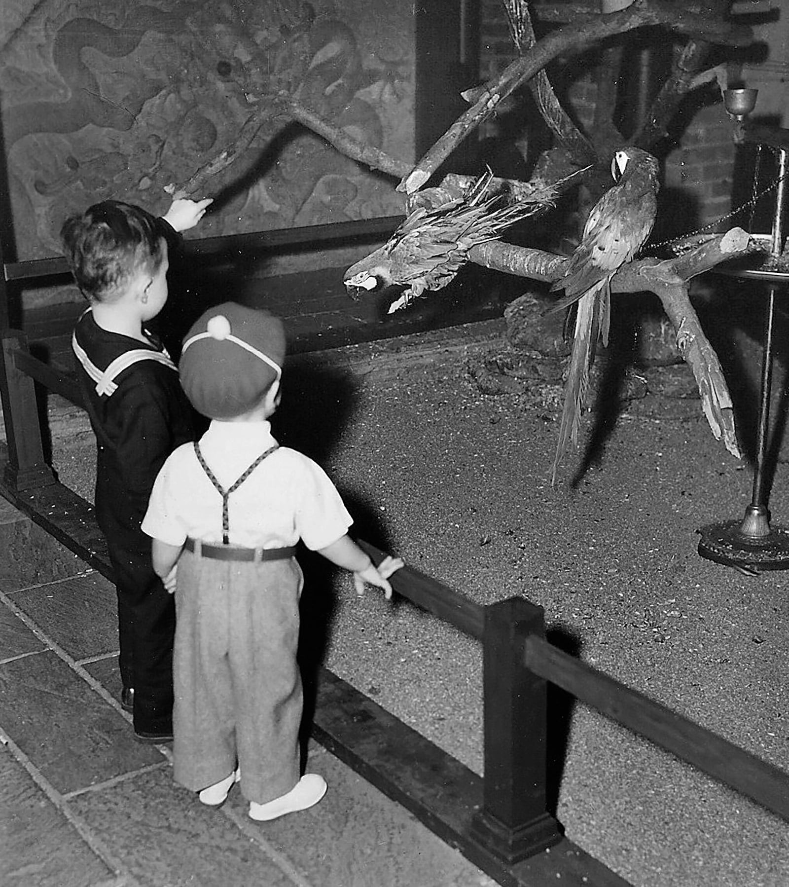 Youngsters take in the sights of exotic birds inside the Dayton Art Institute in the late 1930s. Siegfried R. Weng, the museum's first director, brought animals to the museum. DAYTON ART INSTITUTE