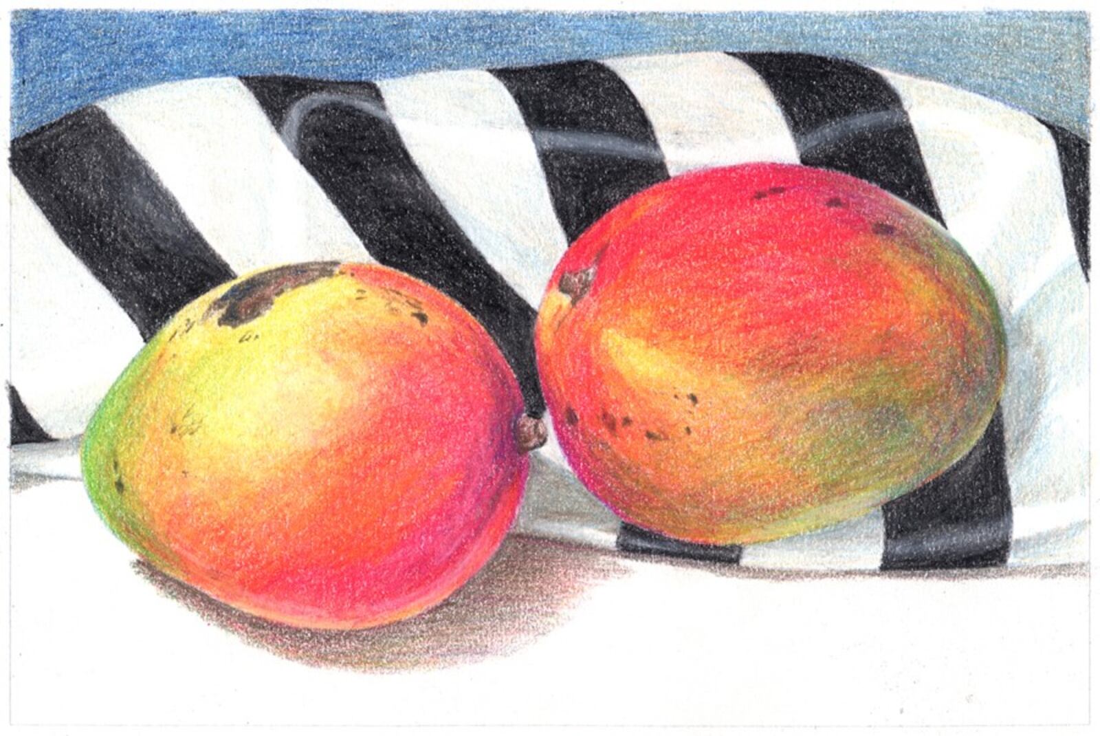 The colored pencil drawings of Melissa Nece are currently on display at the Troy-Hayner Center. CONTRIBUTED