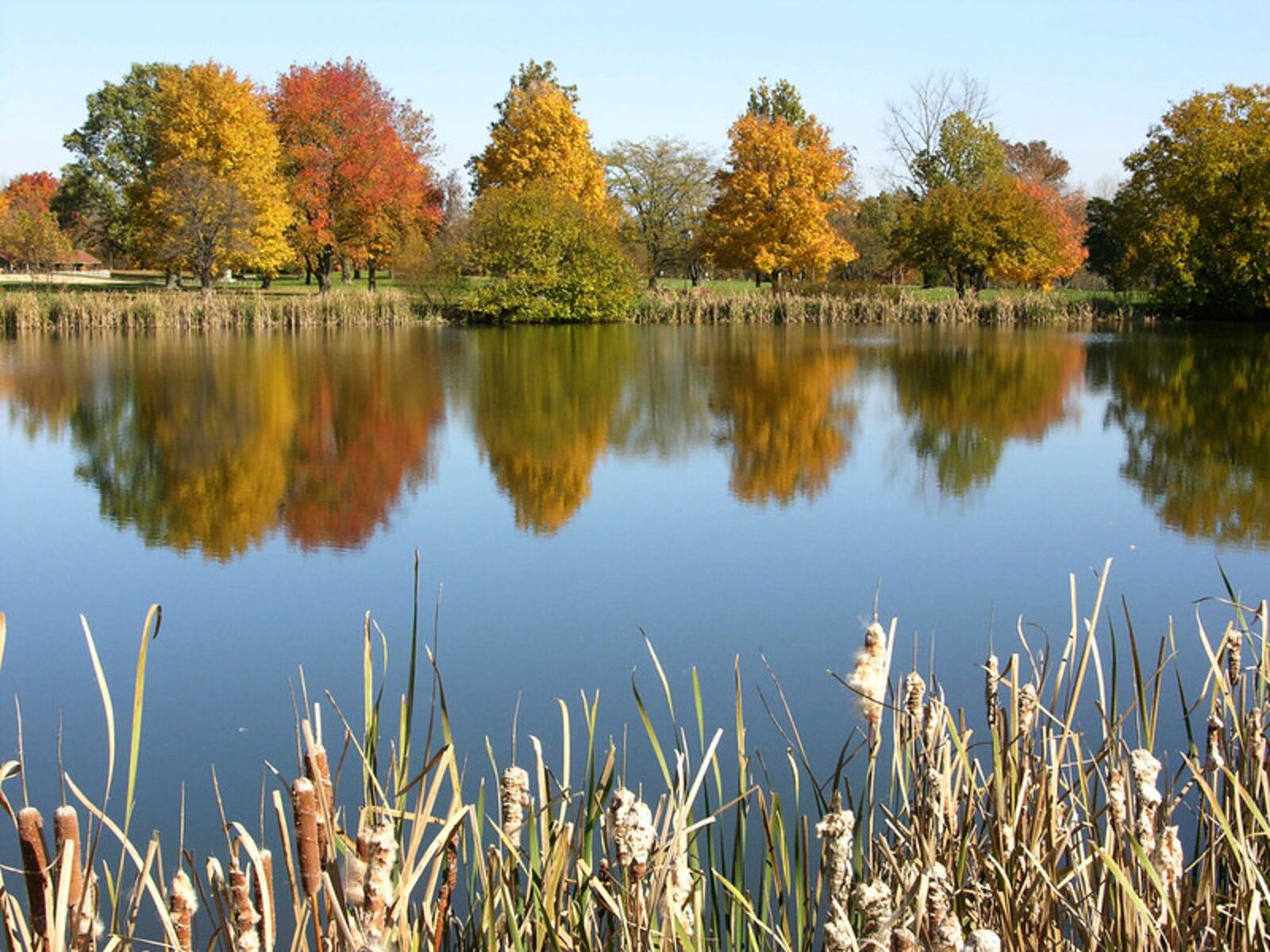 State parks like Hueston Woods offer a beautiful glimpse at the vibrancy of fall. CONTRIBUTED 