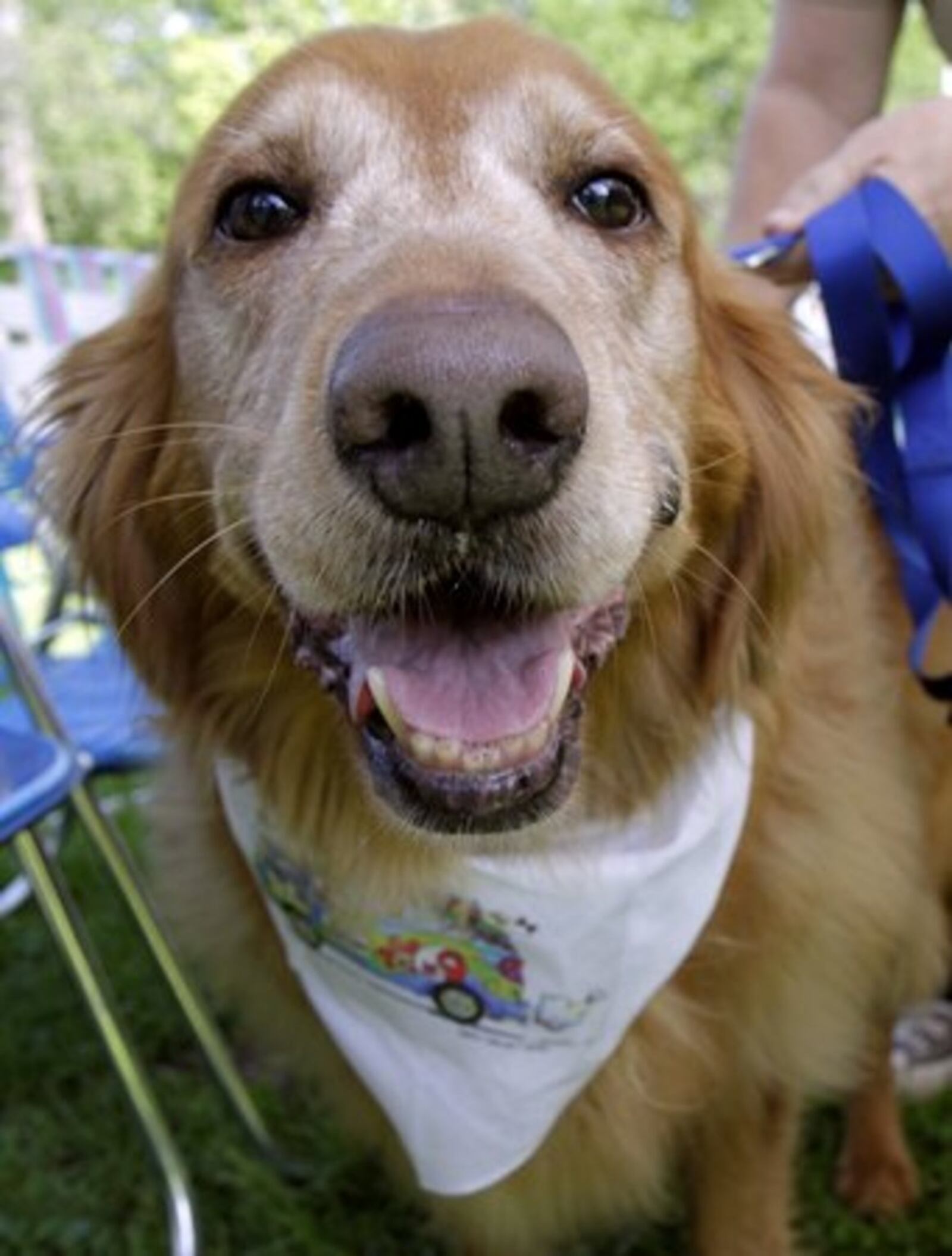 Dogs and owners will find a pet paradise at Woofstock 2023. CONTRIBUTED