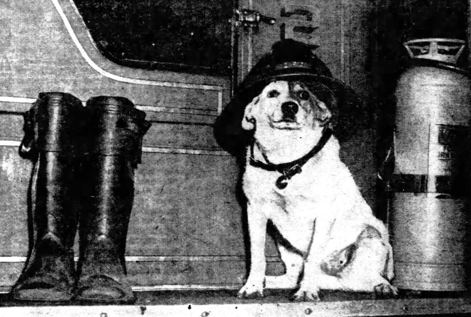 Dayton's greatest fire dog, Smokey. DAYTON DAILY NEWS ARCHIVES