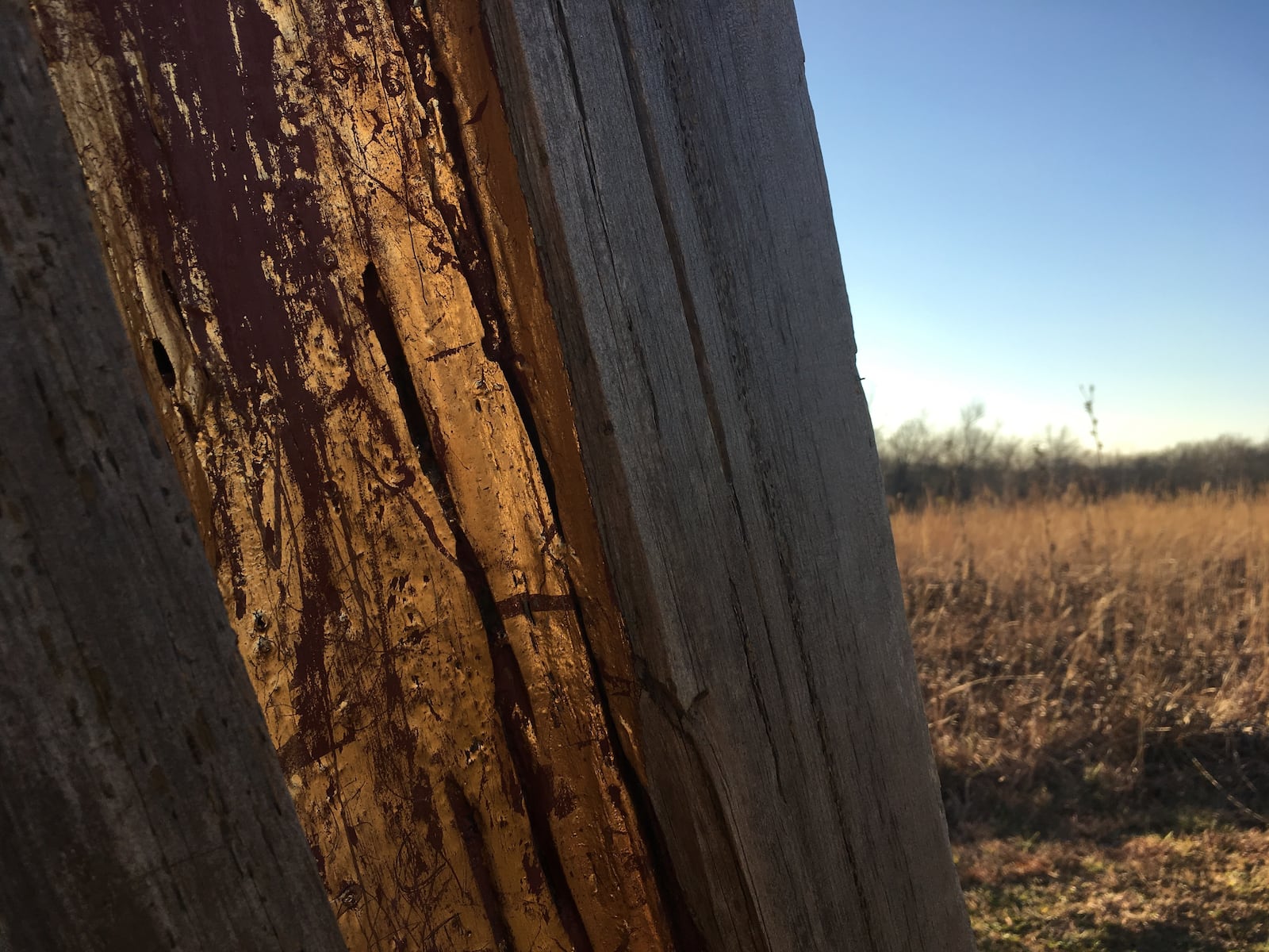 "I Invite You" sculpture at Possum Creek MetroPark.