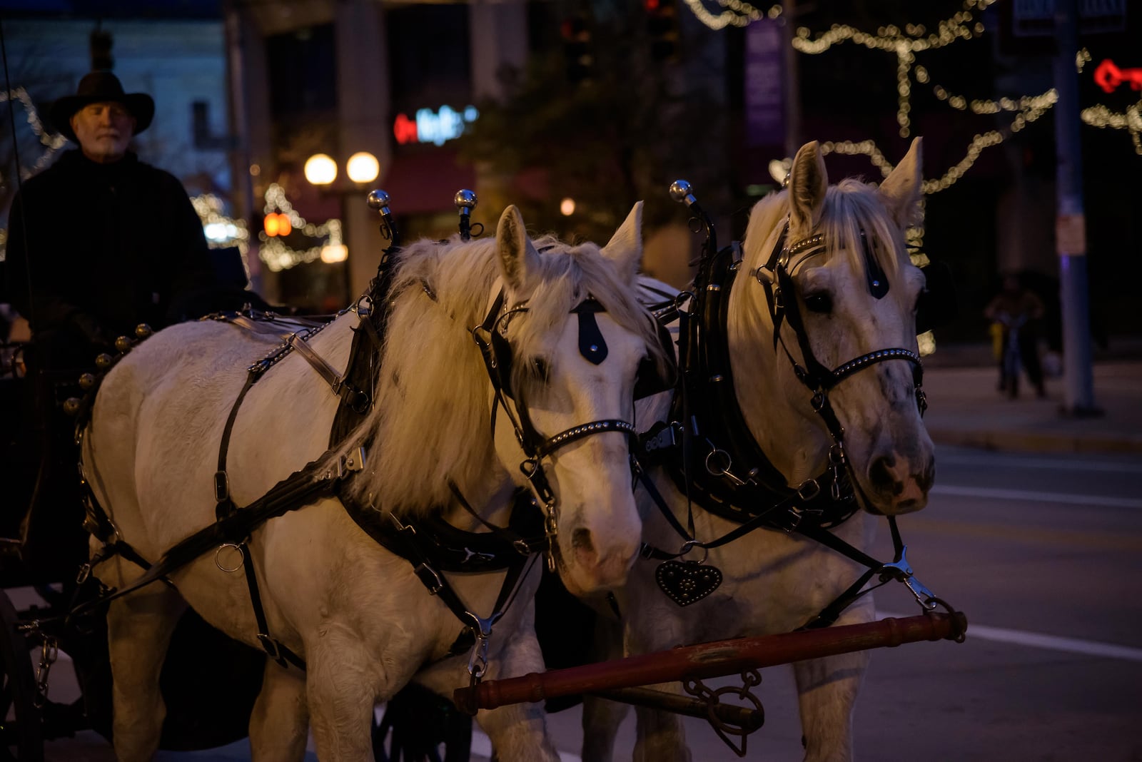 The holiday season is officially here in Dayton. Dayton welcomed the holiday season with a beloved annual tradition the night after Thanksgiving  on Nov. 23, 2018, to light the downtown tree. The celebration also included reindeer, Santa and a children's parade. TOM GILLIAM/CONTRIBUTED