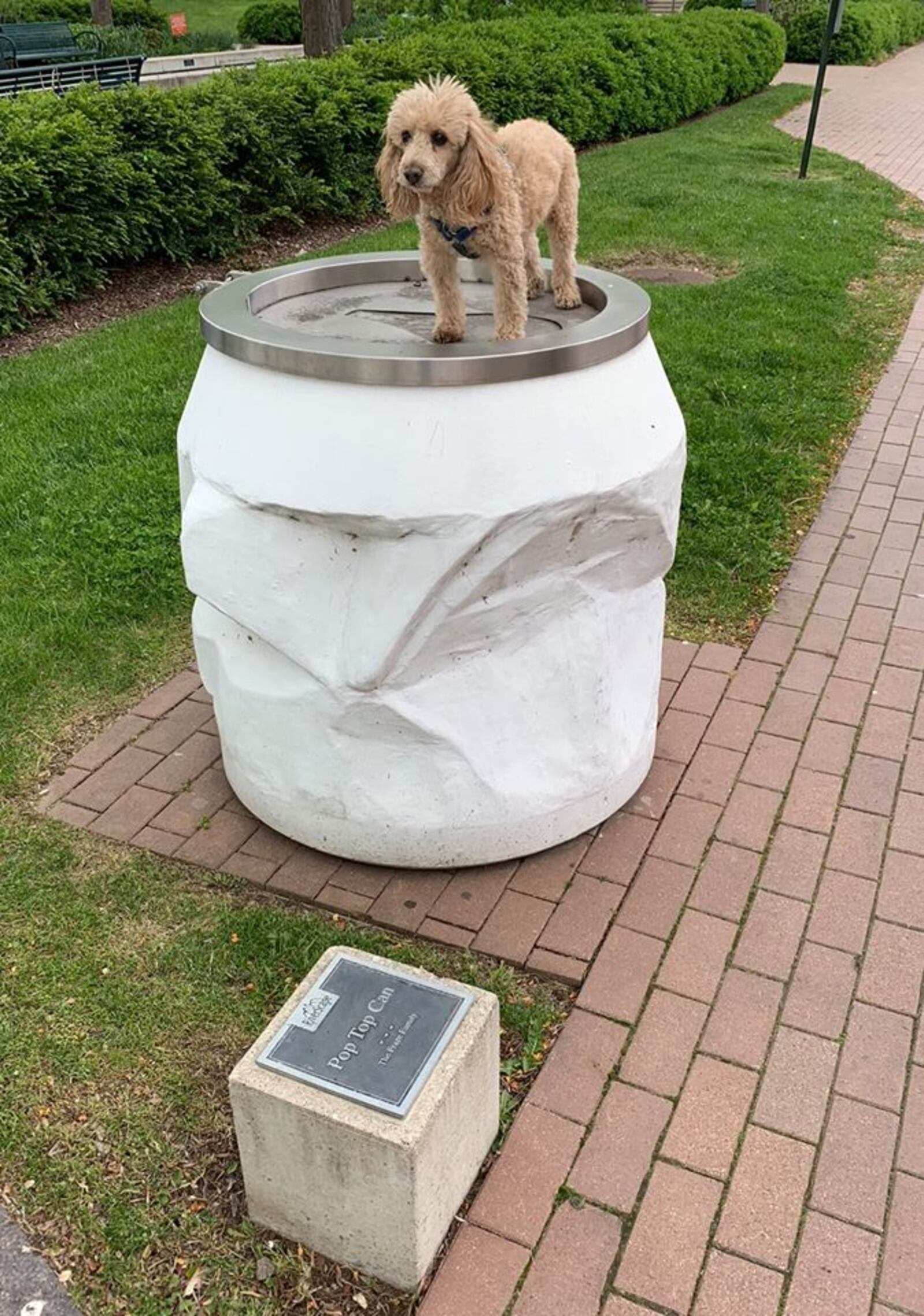 Jim Garvey takes his dog Pluto on daily walks in downtown Dayton, posting photos and sharing history lessons about the Gem City to cheer his friends on social media during the coronavirus pandemic. JIM GARVEY / CONTRIBUTED