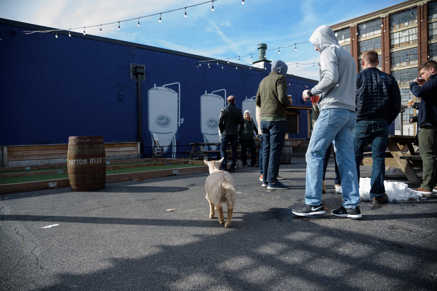 PHOTOS: Did we spot you frolicking with the cutest kids at Dayton Beer Company’s GoatFest?