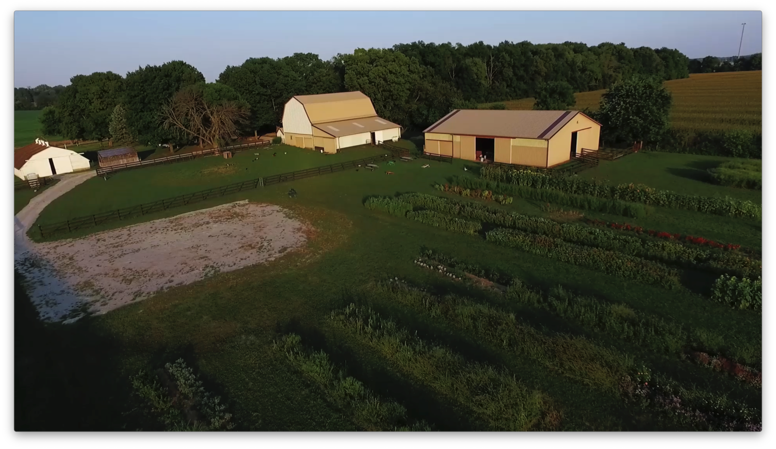 Frost Farmstead, located at 185 South Valley Road in Xenia, offers u-pick flowers and much more noon to 8 p.m. Fridays, Saturdays and Sundays through October (CONTRIBUTED).