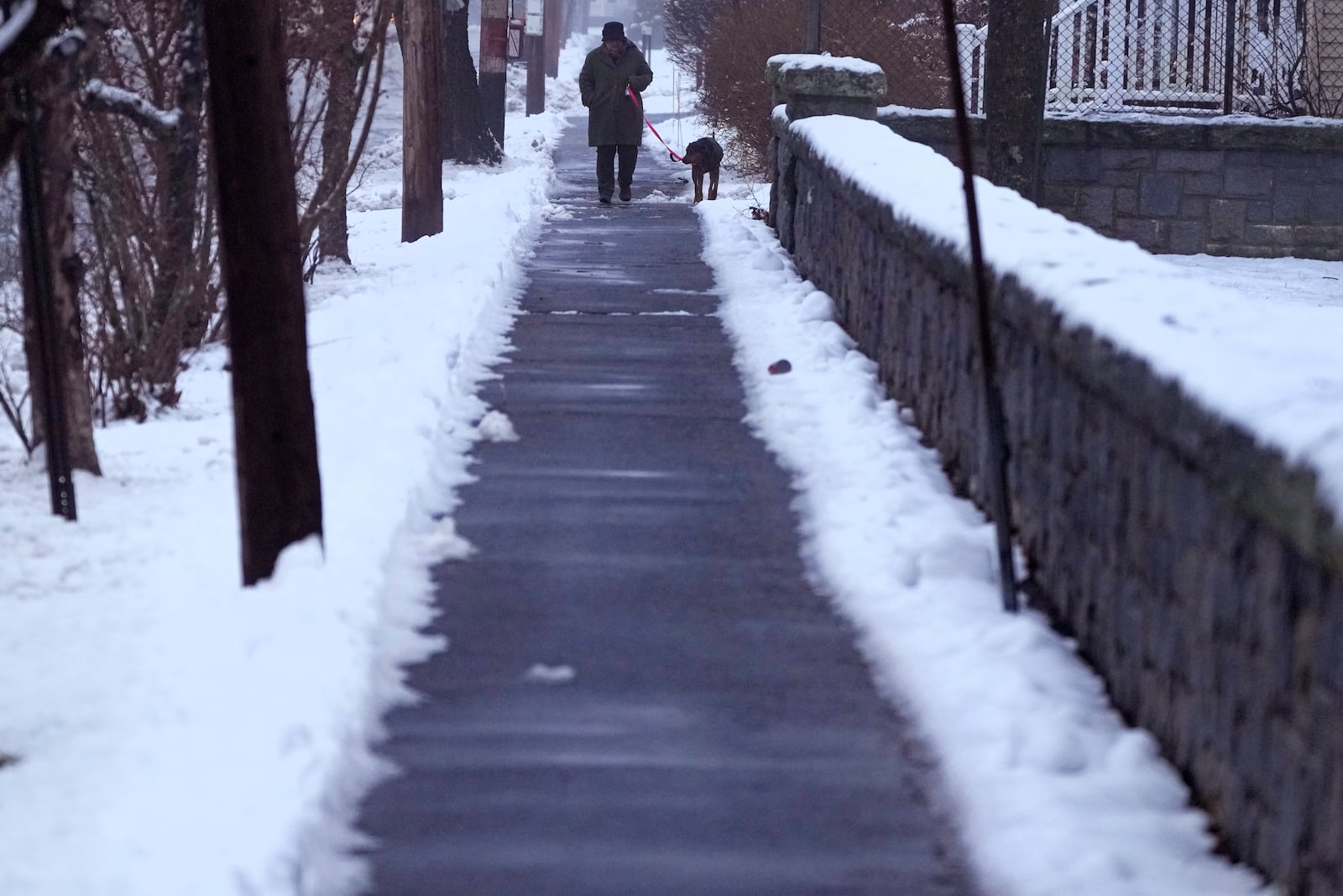 A man walks a dog as light rain falls during a winter storm, Wednesday, Dec. 11, 2024, in Concord, N.H. (AP Photo/Charles Krupa)