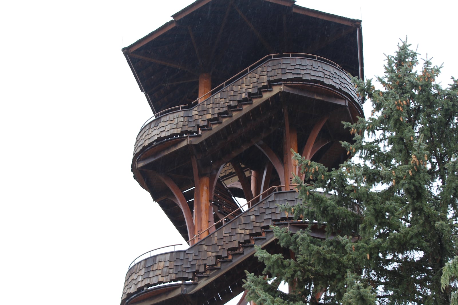 The Cox Arboretum MetroPark Tree Tower closed in September 2016 after a fungal disease weakened the structure’s support beams.