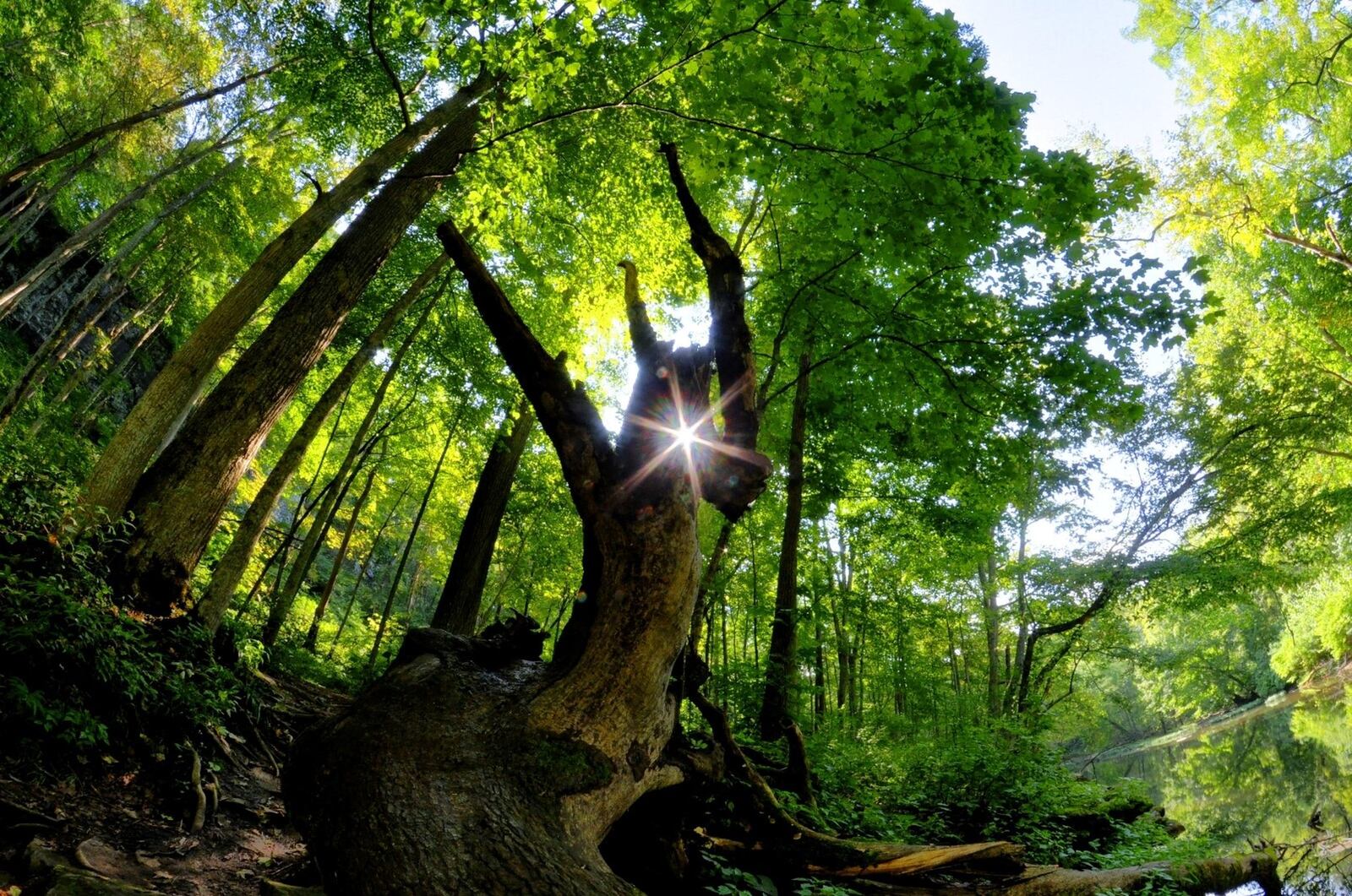 John Bryan State Park and its limestone gorges are just a mile away from Yellow Springs. STEPHANIE O’GRADY/OHIO DEPARTMENT OF NATURAL RESOURCES