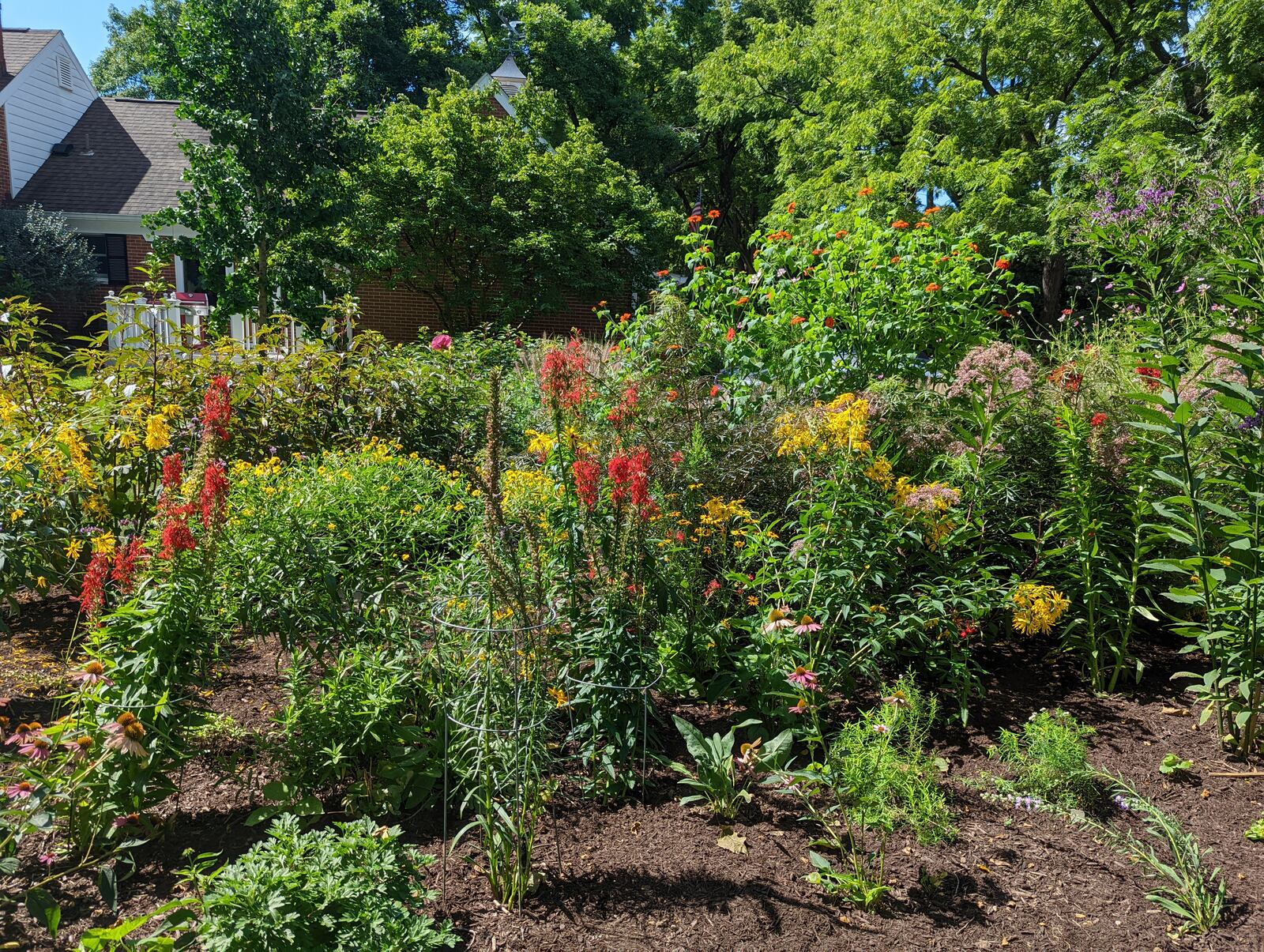 Sue Howorth’s pollinator garden is bursting with vivid colors. Contributed photo by Kari Carter