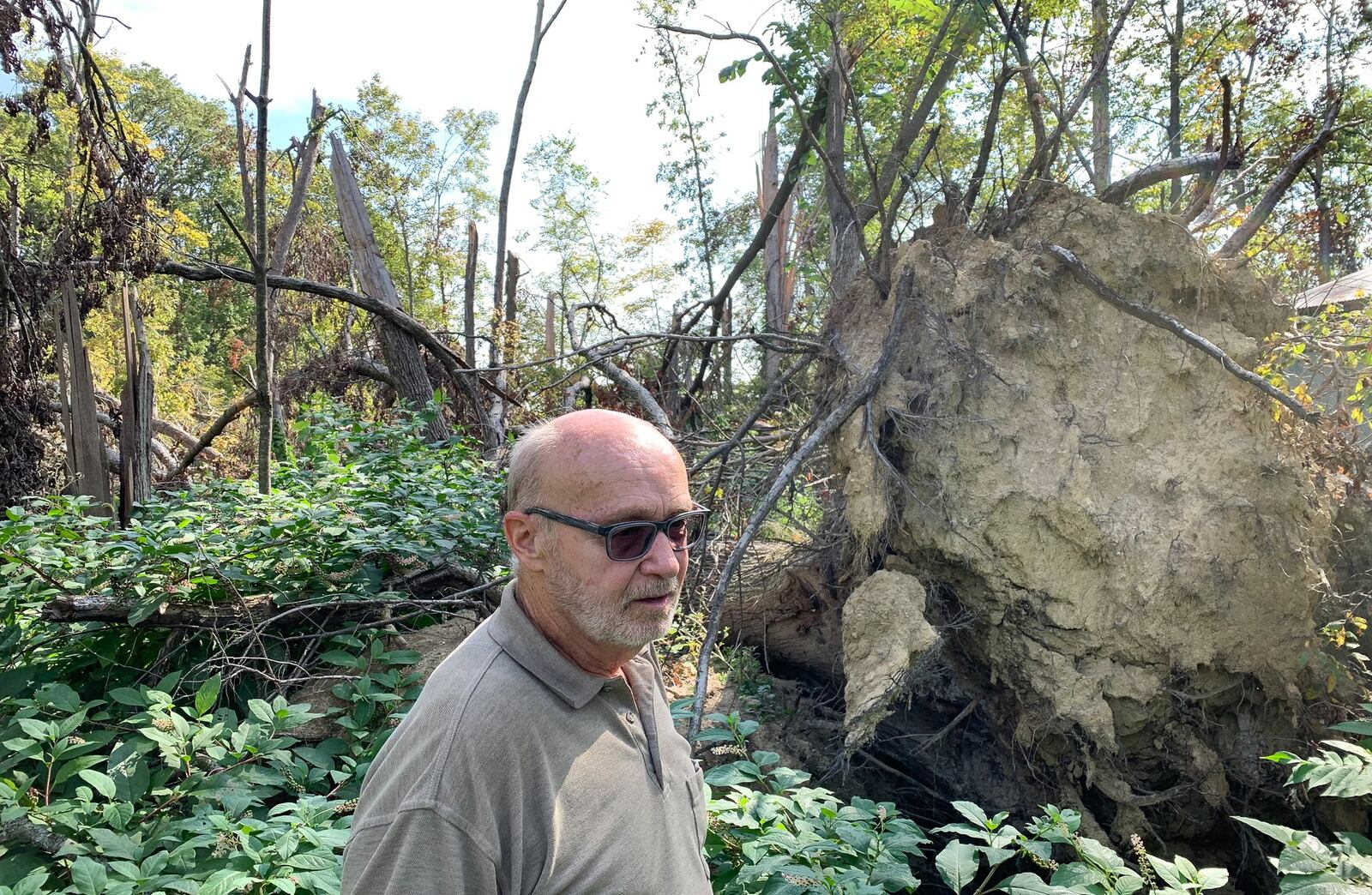 Dansen Brown, pictured, and his wife Leanne were among the first to witness the effects of what would become the most destructive Memorial Day tornado. The twister spun up in a soybean field just west of their home in Perry Twp. between North Sulphur Springs Road and Crawford Toms Run Road. Their house was relatively undamaged, but trees surrounding their house were damaged, including the large one uprooted at right. CHRIS STEWART / STAFF