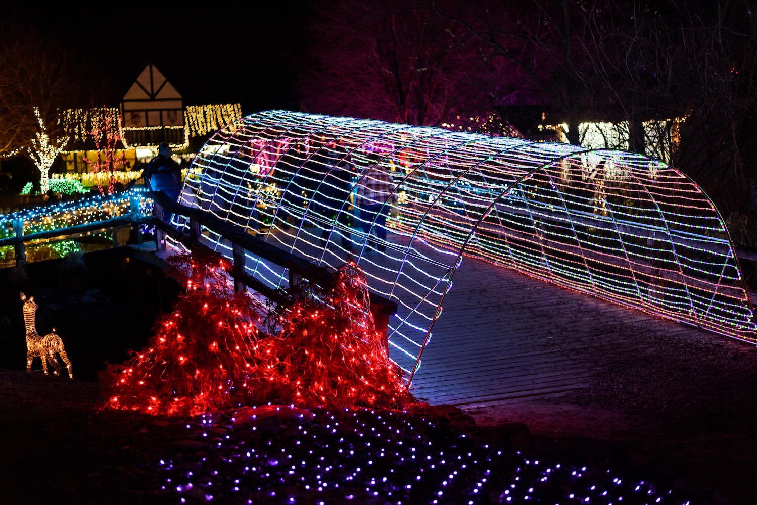 PHOTOS: Yuletide Village: Season of Lights at Renaissance Park Event Center