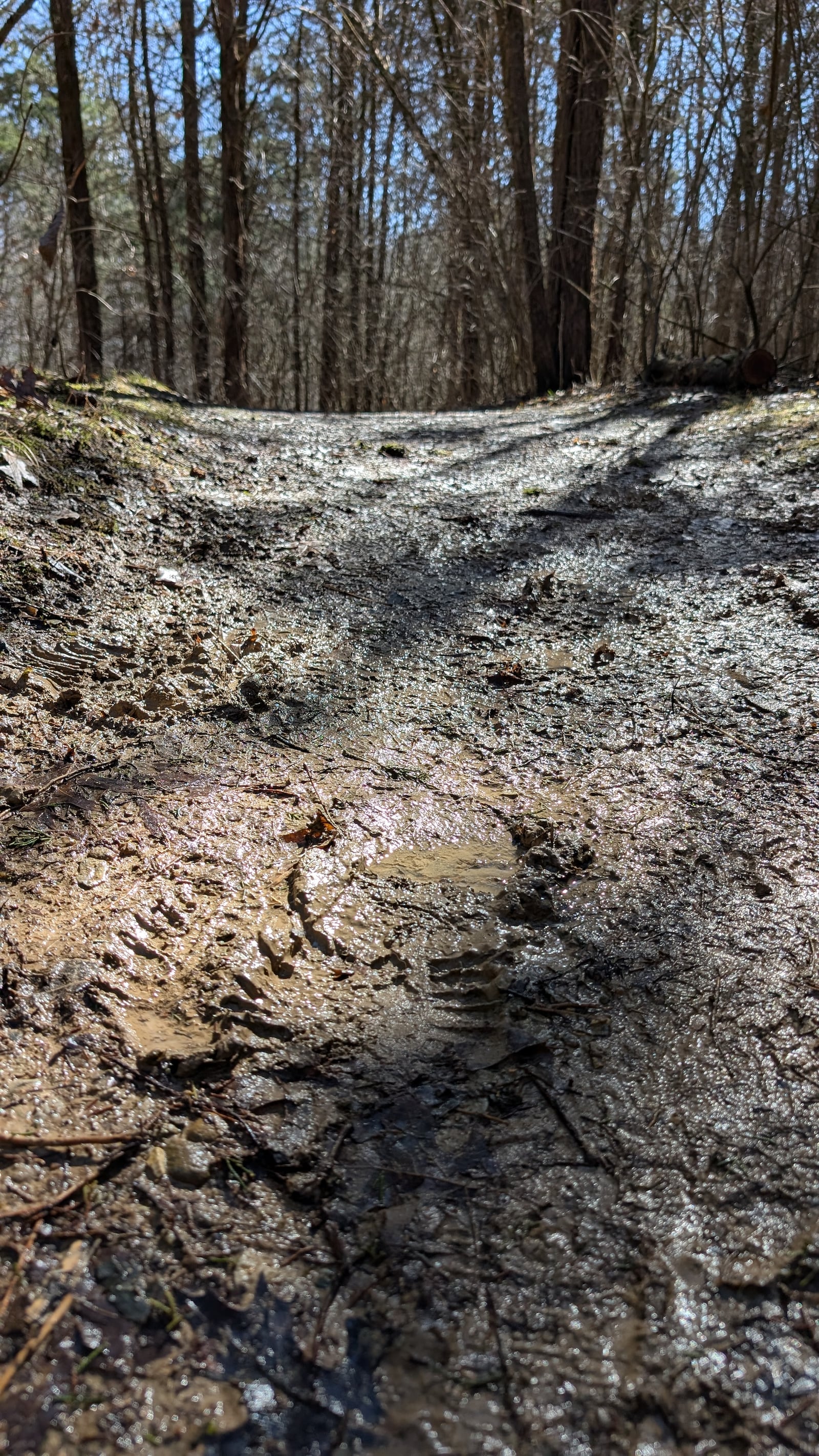 Muddy trails can be the rule, not the exception, this time of year - CONTRIBUTED