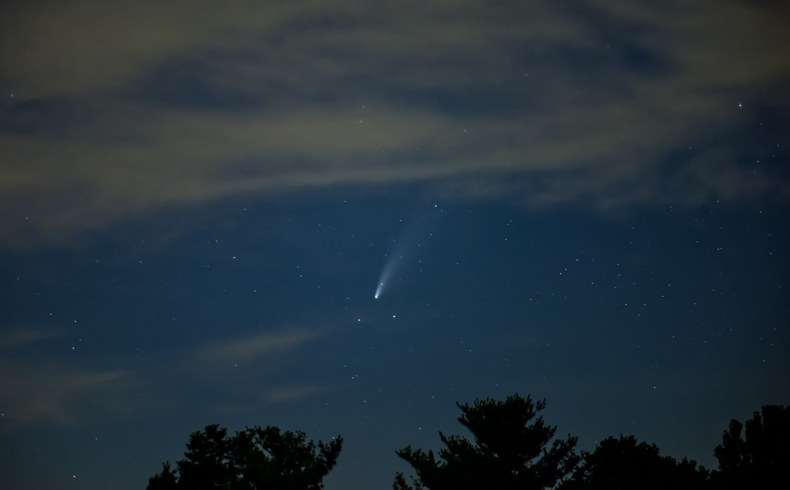 NEOWISE comet visible in the night sky