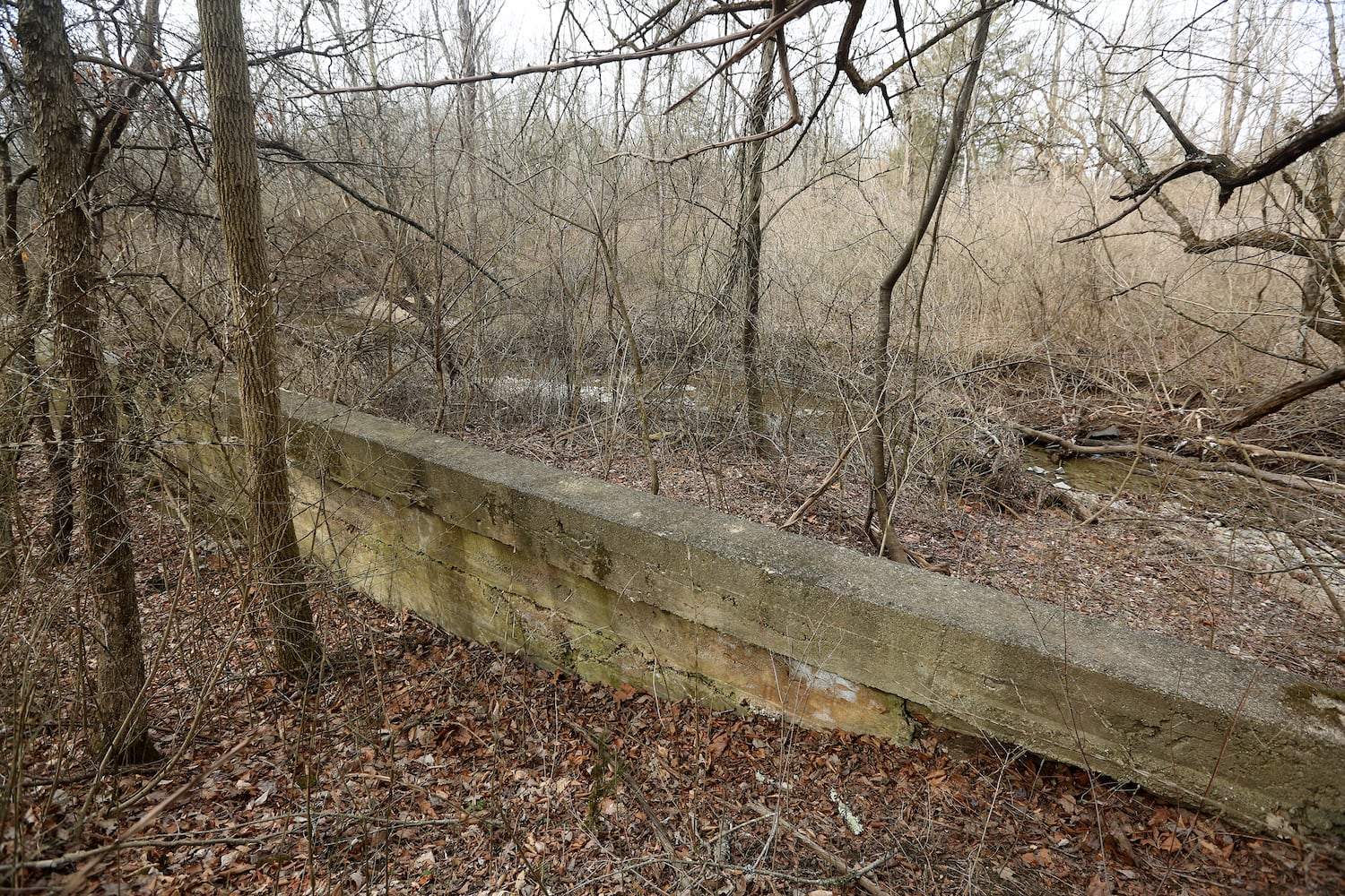 PHOTOS: Long-abandoned amusement park lives on in Possum Creek MetroPark