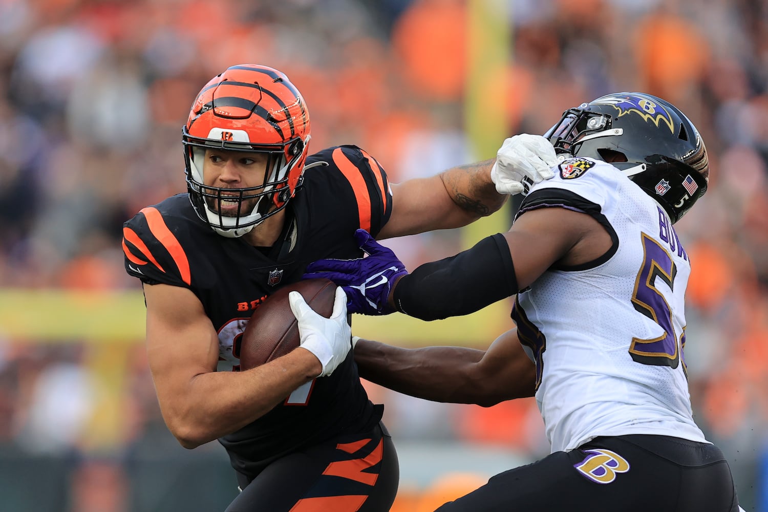 Ravens Bengals Football