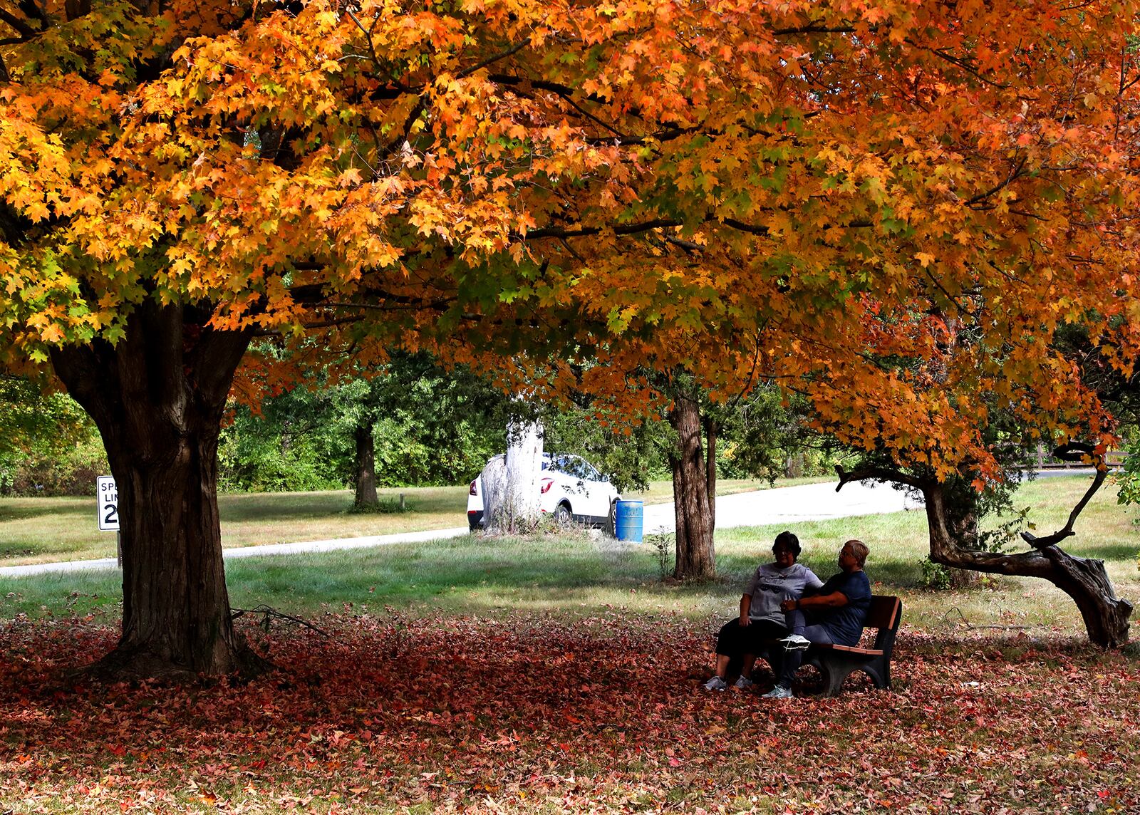 Two women relax on a bench under a canopy of orange and yellow at George Rogers Clark Park Friday. The trees in the park will make a colorful backdrop for the Haunted Halloween Drive-Thru Friday. BILL LACKEY/STAFF