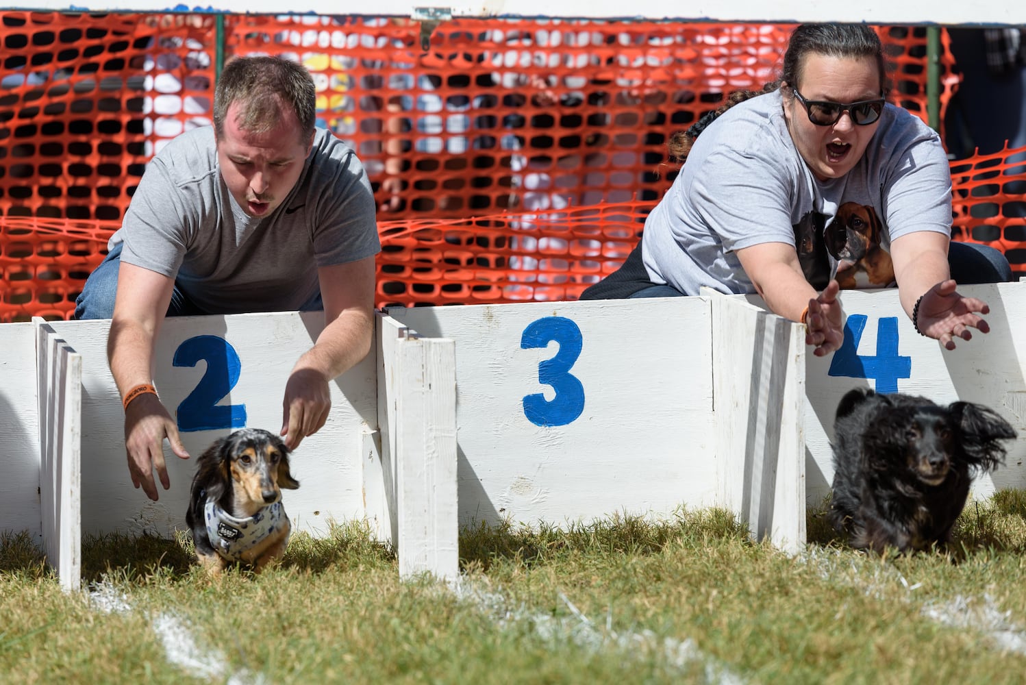 PHOTOS: 2024 Oktoberfest Springboro