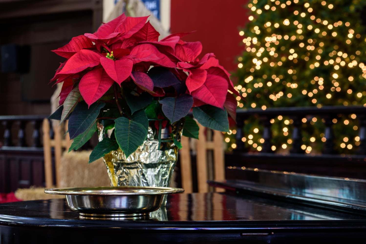 PHOTOS: A look inside St. Paul United Methodist Church decorated for Christmas